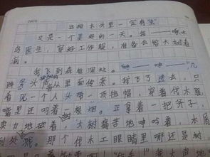 来自校园里的美好作文800字