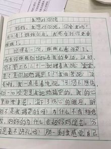 校园的泪作文