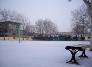 秋之校园作文400