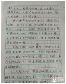 学生在校园里的感受作文600字