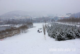 作文,雪景,视听,校园