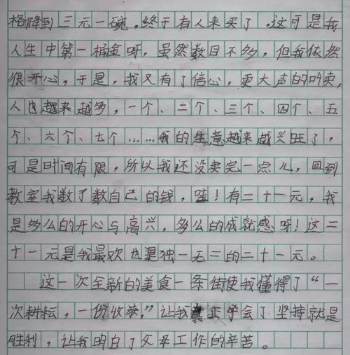 作文,字左右,发现,校园