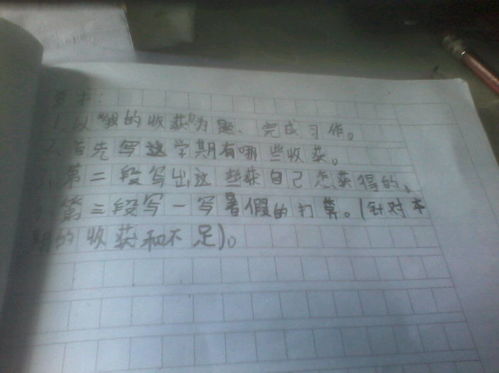 校园早晨的景色作文200字左右