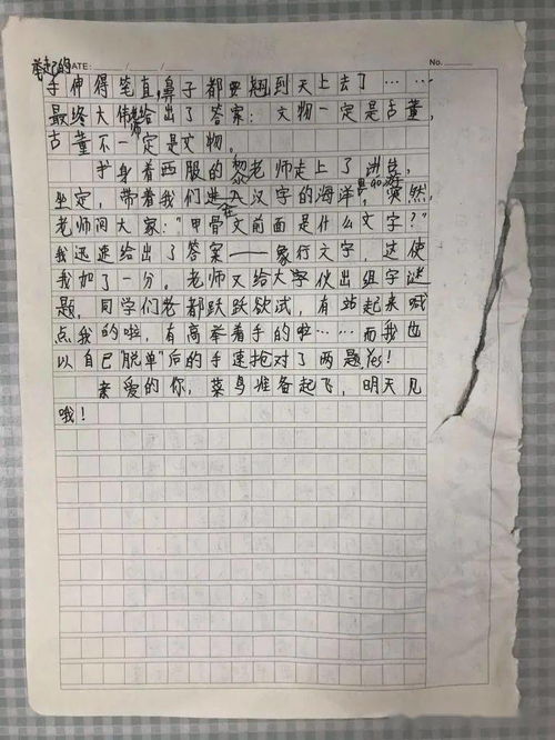 小小讲解员介绍校园作文,小小讲解员介绍校园作文200字,写我是小小讲解员的作文