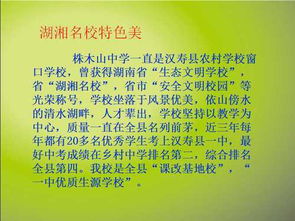 作文,山中,描写,美丽