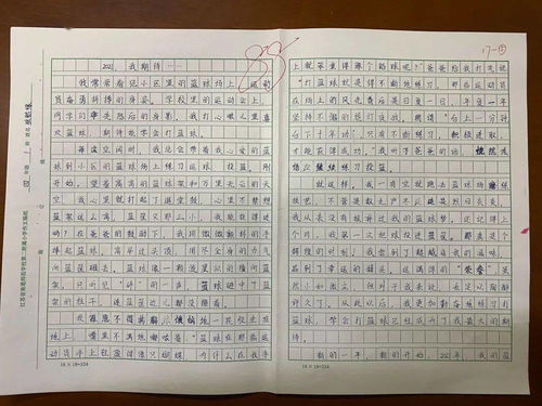 四年级优秀作文校园的一角,四年级优秀作文校园趣事四百字,四年级优秀作文校园的一角四百字
