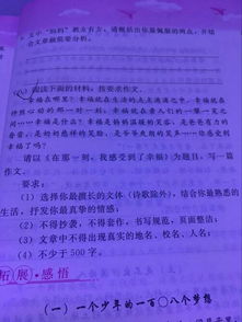 家长感谢校园500字作文大全