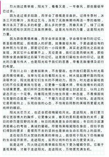 校园美为主题800字作文高中