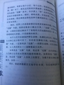 二十,欢聚,作文,想象