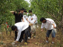 清理白色垃圾作文五百字,关于清理垃圾的作文,清理海边垃圾的作文