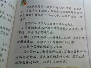 写校园早晨美景的作文450字