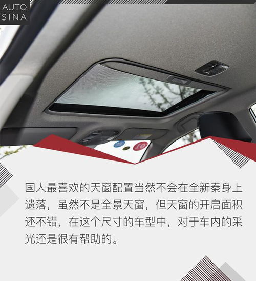 注意事项,女司机,驾驶