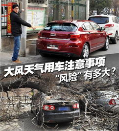 大风天气停车注意事项