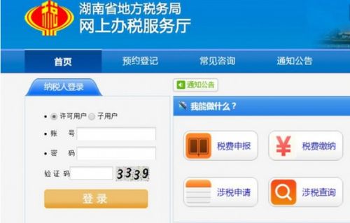 报税,注意事项,网上
