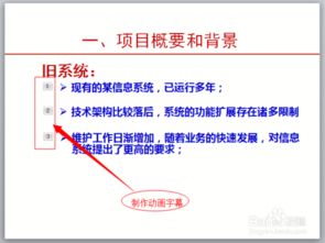 验收,注意事项,项目,软件
