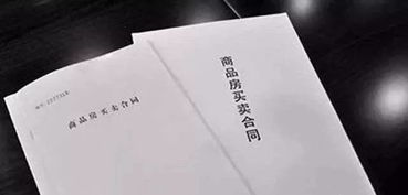 买房,注意事项,办理,合同