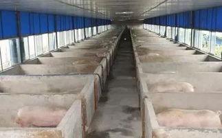 冷库建设注意事项,机房建设注意事项,厂房建设注意事项