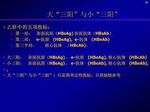 乙肝e抗体偏高注意事项