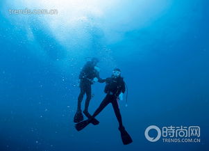 潜水的注意事项,潜水注意事项和技巧,第一次潜水注意事项
