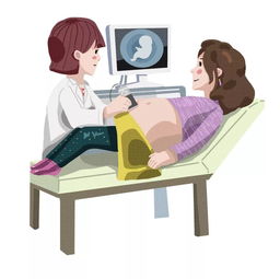 引产,六个月,注意事项