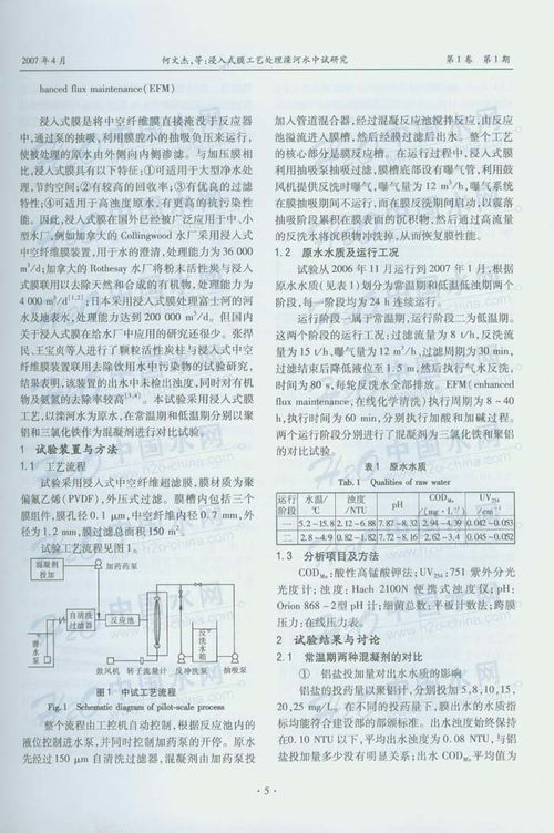 聚铝注意事项及投加量