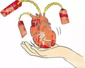 心率衰竭注意事项