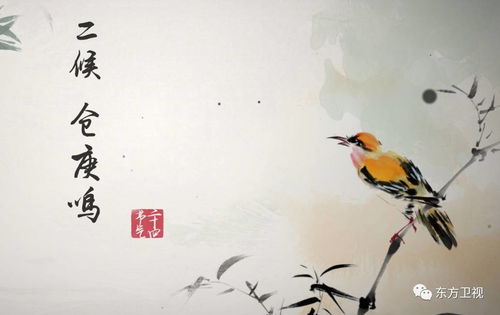 惊蛰,小人,注意事项