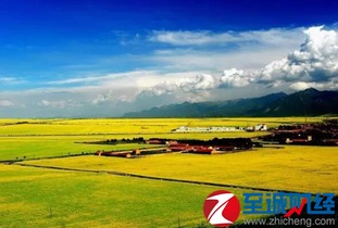 7月去青海湖注意事项