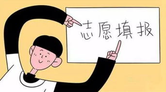 提前批填报注意事项