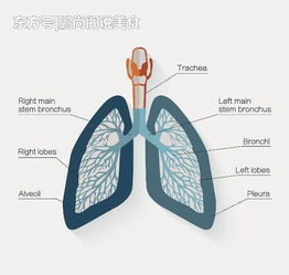 穿刺,肺部,需注意,事项