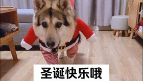 疫苗,注射,注意事项