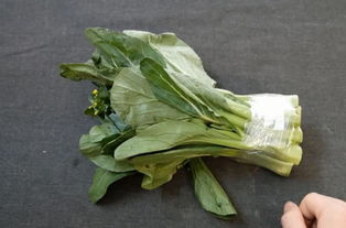 种青菜注意事项.