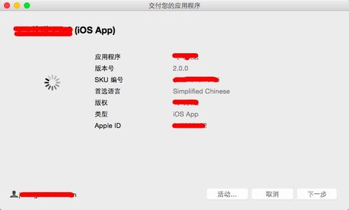 上架,注意事项,appstore