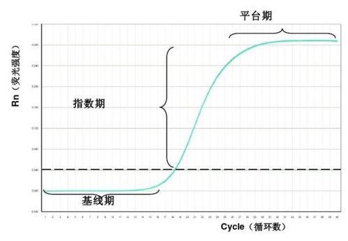 实时荧光PCR结果分析,实时荧光定量pcr结果分析,乙肝实时荧光定量pcr结果分析
