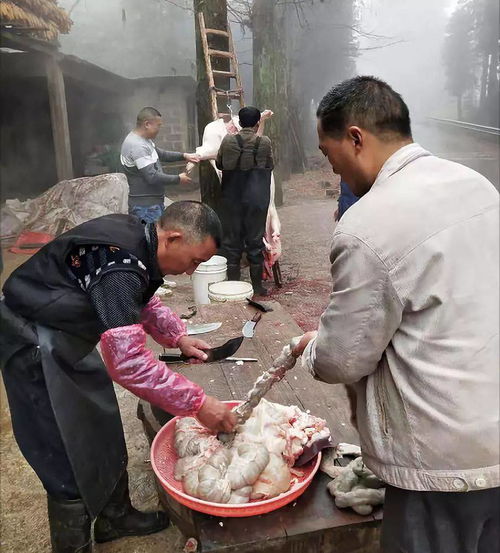 杀猪,注意事项