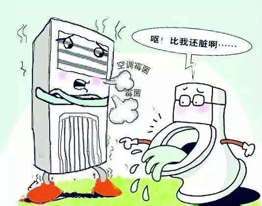 细菌,注意事项,保养