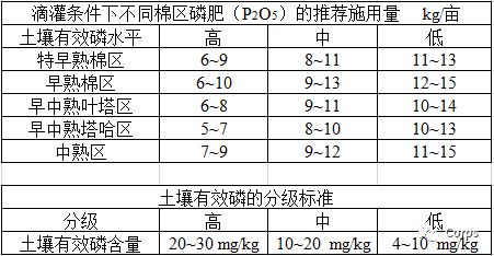 化验,土壤,注意事项