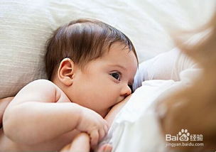 新生儿吃奶注意事项,婴儿打预防针注意事项,婴儿换奶粉注意事项