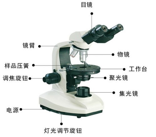 简述显微镜的使用注意事项