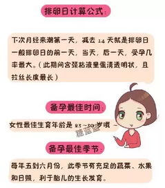 孕前准备工作和注意事项