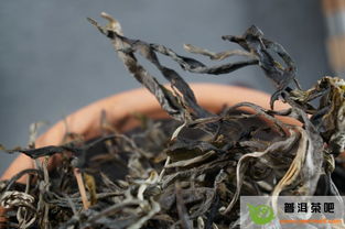 储存茶叶要注意事项
