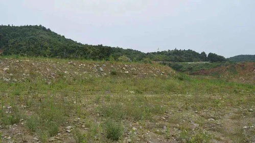 农村荒地转让注意事项