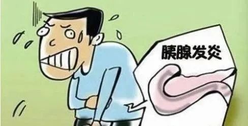 胰腺炎,注意事项,护理