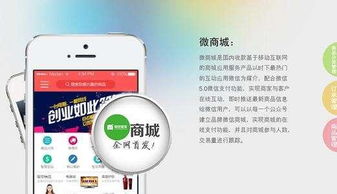 要注意,事项,加盟,商城