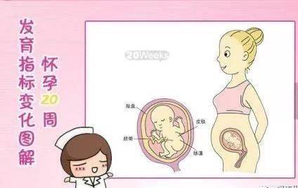 注意事项,怀孕