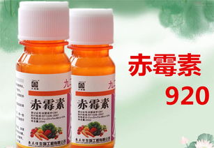 920赤霉酸的注意事项,赤霉酸的使用方法及注意事项,梨涂抹赤霉酸的注意事项