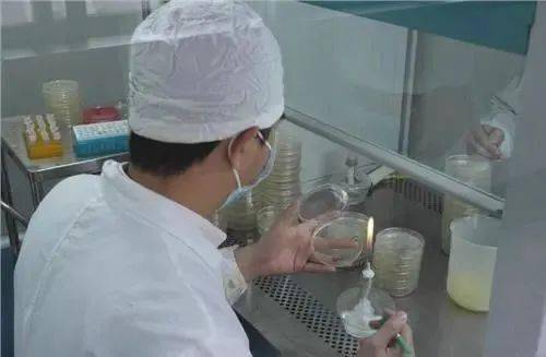 培养基的制备注意事项,培养基制作过程中的注意事项,培养基的配制与灭菌注意事项