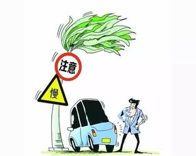 大风天气行车注意事项,大风天气行车安全注意事项,大风天气安全注意事项