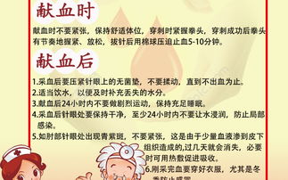 献血注意事项主要几点女生,献血注意事项主要几点,献血注意事项和禁忌症