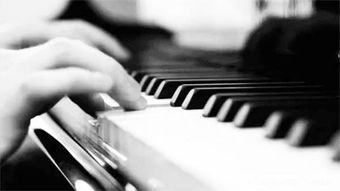 钢琴试课注意事项